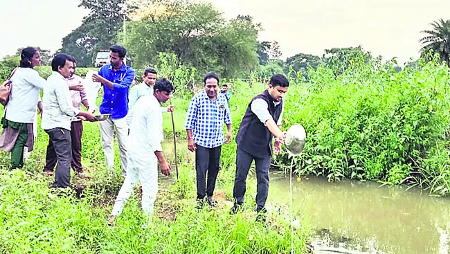 మలేరియా నివారణకు చర్యలు 
