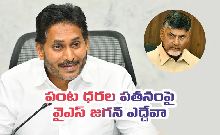 బాబుగారూ.. మీ రికార్డులు ఇంకెవ్వరికీ సాధ్యం కావు!
