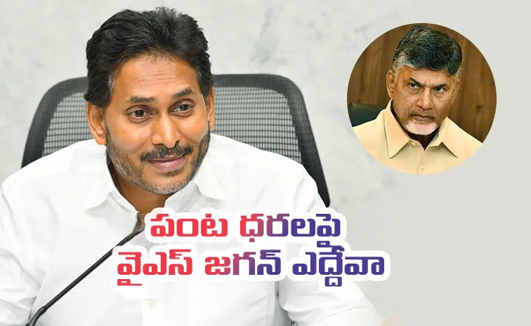 CBN your record in dropping crop rates is unbeatable Says YS Jagan