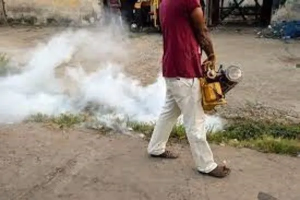 ఫాగింగ్‌... పరేషాన్‌..! 