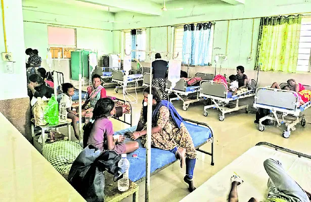 డెంగీ