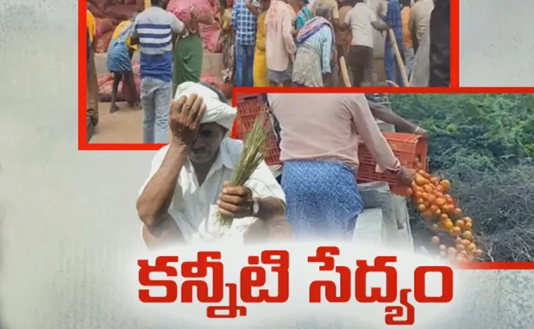 Onion Farmers Fires on Chandrababu Govt Negligence