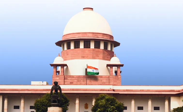 Supreme Court Key Comments On Viveka Case