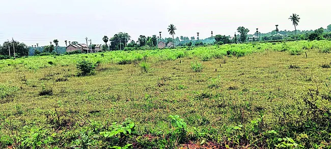 కౌలుకోలేక..