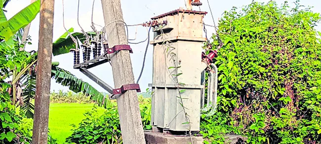కర్షక