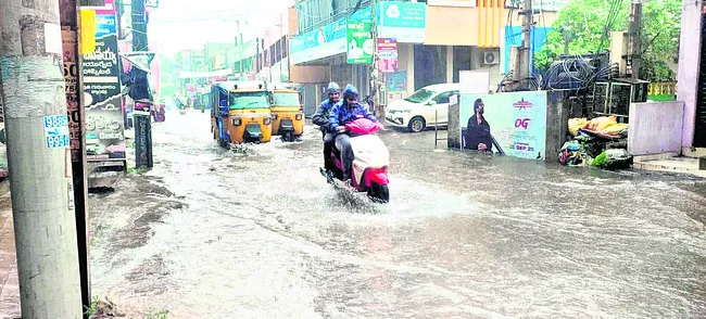 ఉద్యాన పంటల్లో సస్యరక్షణ 
