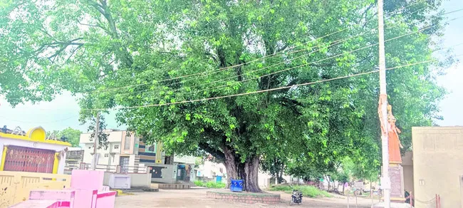 సాయుధ పోరాటంలో.. పాలమూరు మట్టిబిడ్డలు