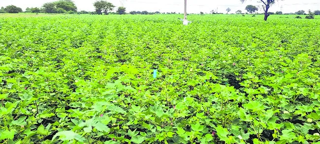 ఆ భూములు మీవి కావు!
