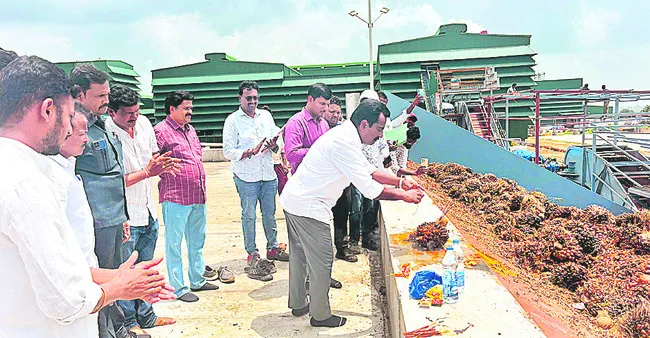ఆయిల్‌పామ్‌ ఫ్యాక్టరీ సిద్ధం 