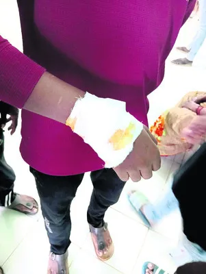 కుక్క