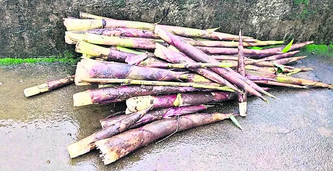 వెదురు కంజి.. ఎంతో ప్రీతి