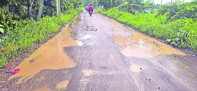 ఆలమూర