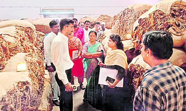 సక్రమంగా పొగాకు కొనుగోలు 