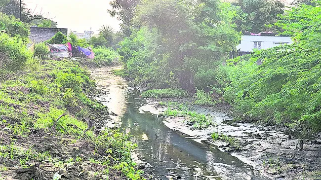 ప్రబలుతున్న డెంగీ జ్వరాలు
