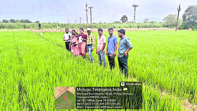సాగులో సస్యరక్షణ చర్యలు పాటించాలి