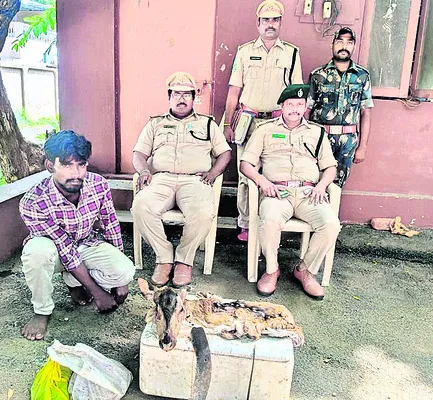 జింకన