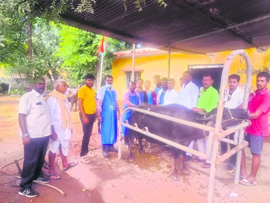 పాడి రైతులు జాగ్రత్తలు పాటించాలి 