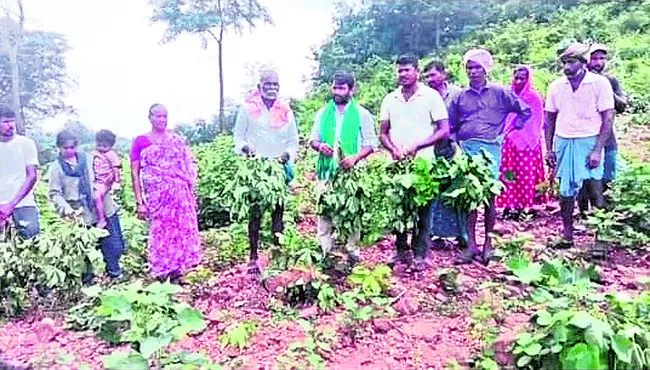 విద్య