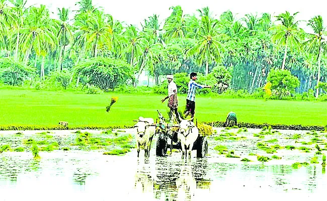 డిజిటల్ క్రాప్ సర్వే షురూ
