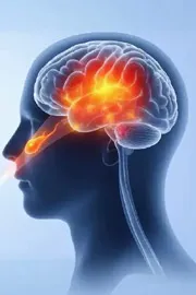Brain Eating Amoeba Kills 19 in Kerala4