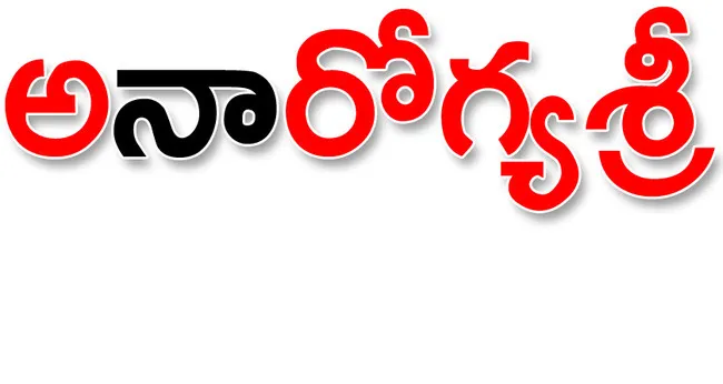 వైఎస్సార్‌సీపీ హయాంలో బలోపేతం 