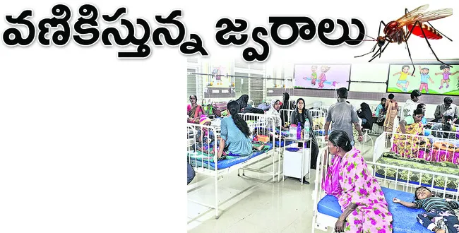 ఊరూరా జ్వరాలు వణికిస్తున్నాయి. ప్రభుత్వ ఆస్పత్రులు, ప్రైవేట్‌ ఆస్పత్రులే కాదు ఆర్‌ఎంపీల ప్రథమ చికిత్స కేంద్రాలకు బాధితులు పోటెత్తుతున్నారు. ఏ ఆస్పత్రి చూసినా కిక్కిరిసి ఉన్నాయి. మొన్నటికి మొన్న ఉరవకొండ నియోజకవర్గం విడపనకల్లు మండలంలో ఒకే ఇంట్లో ముగ్గురు పి
