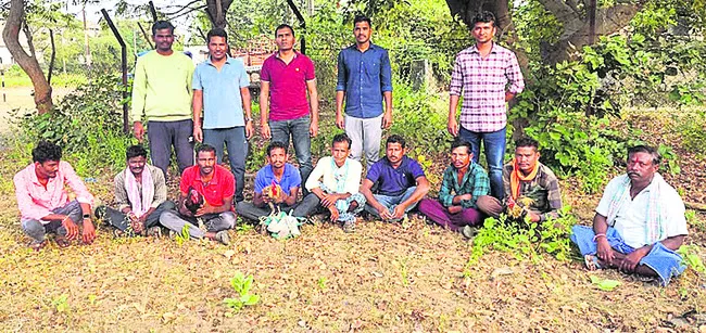 పత్తాలాట.. కోడిపందేలు