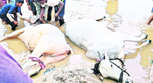 నదిలో