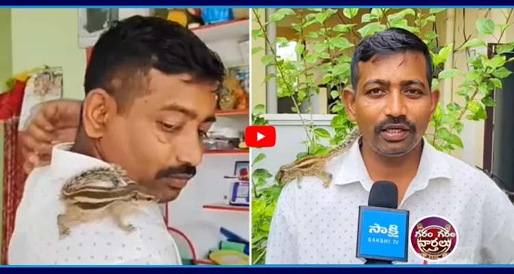 ఉడతతో స్నేహం