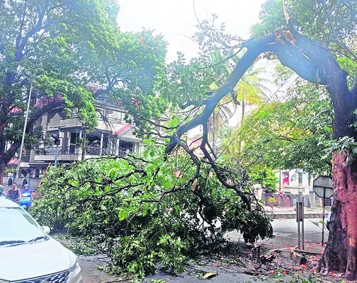 జోరు