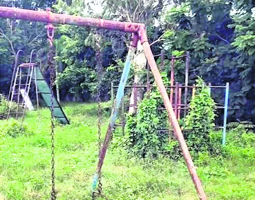 కాటన్