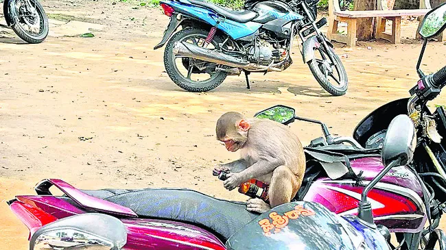 మూత ఎట్ల తీయల్నో!