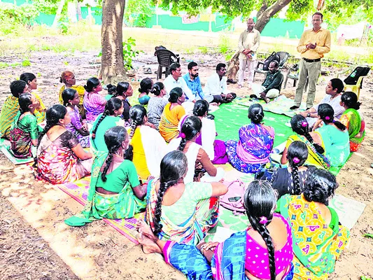 పెరటి కోళ్ల పెంపకంతో ఆర్థికాభివృద్ధి