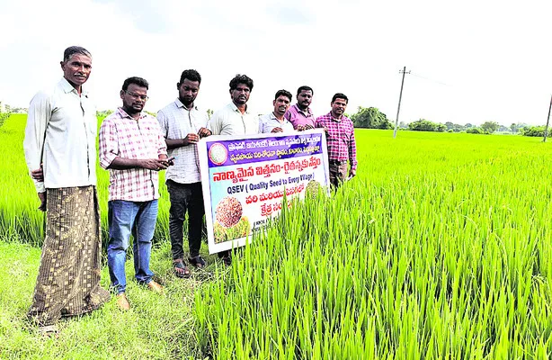విత్తనోత్పత్తిపై రైతులు దృష్టి సారించాలి