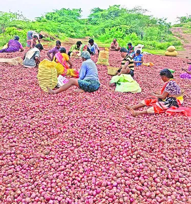 కుళ్ల