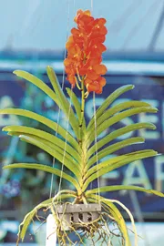 all India Horticulture & Agriculture Show 2025 At hyderabad