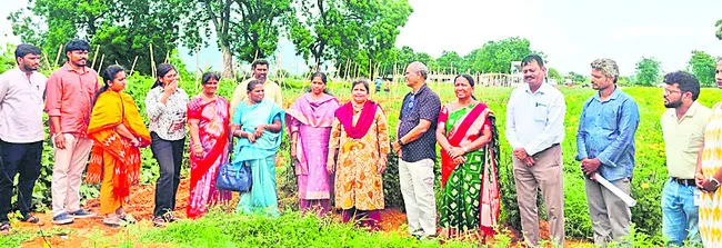 ప్రకృతి వ్యవసాయ క్షేత్రాల పరిశీలన