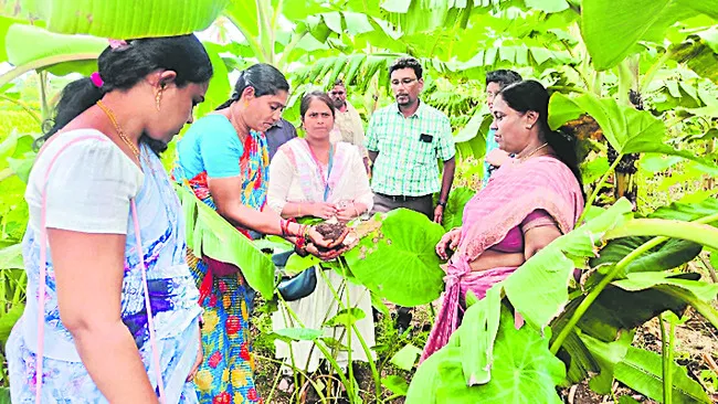 ప్రకృతి వ్యవసాయ క్షేత్రాల సందర్శన