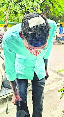 కోరలు