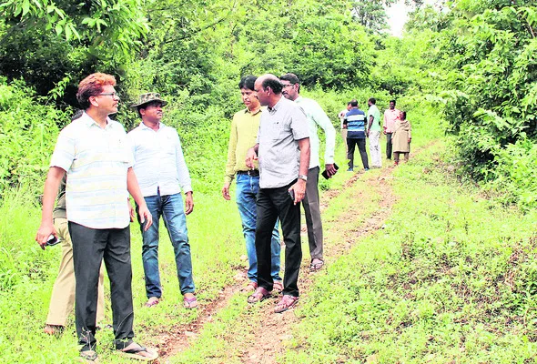 సహజవనంలో సాంకేతిక సొబగులు