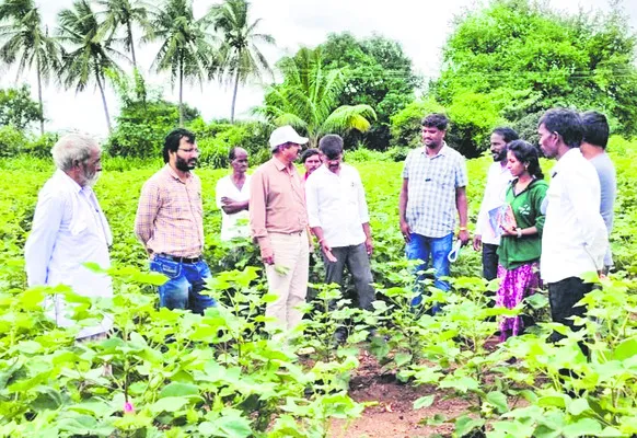 పొలాల్లో నీరు నిల్వ ఉండొద్దు