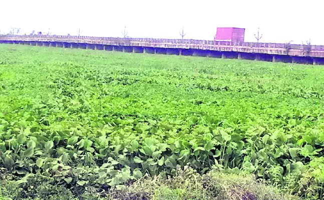 గుర్ర