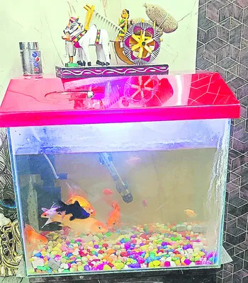 ఆనందమీనందమాయె..