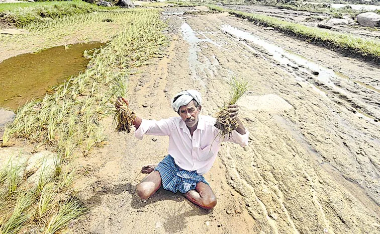 Tons of soil in washed away by rains in Andhra Pradesh