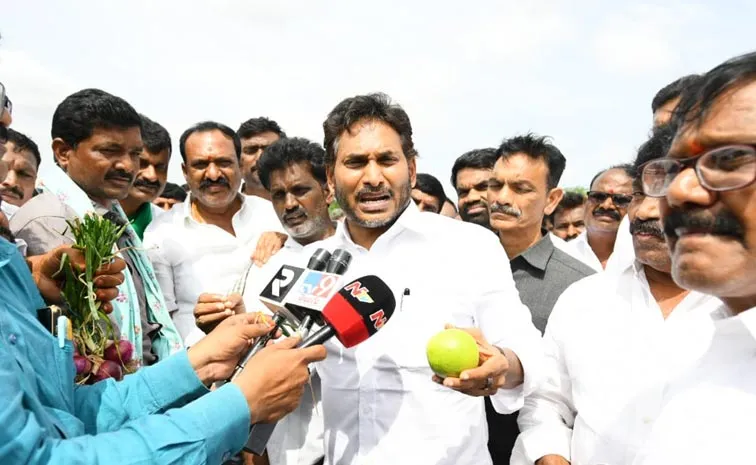 Jagan Slams Kutami Govt After Tallapalle Farmers Met on affordable price