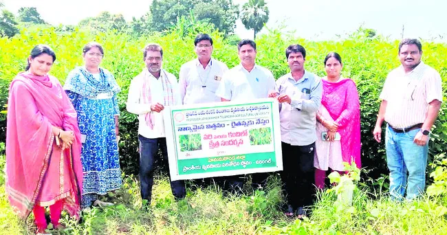 విత్తనోత్పత్తిలో మెళకువలు పాటించాలి