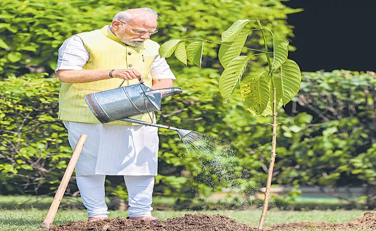 PM Narendra Modi today planted a Kadamb sapling at his residence