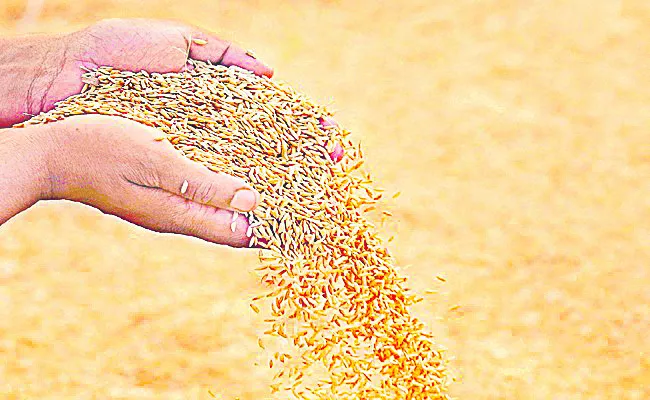 ధాన్య
