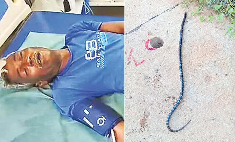 Man Bites Snake Head After Being Bitten in Tirupati District