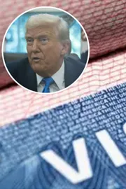 US H-1B visas 2025 TCS emerges as 2nd largest recipient with 5500 approvals